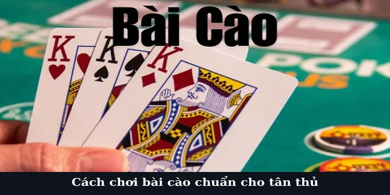 Cách chơi bài cào chuẩn cho tân thủ